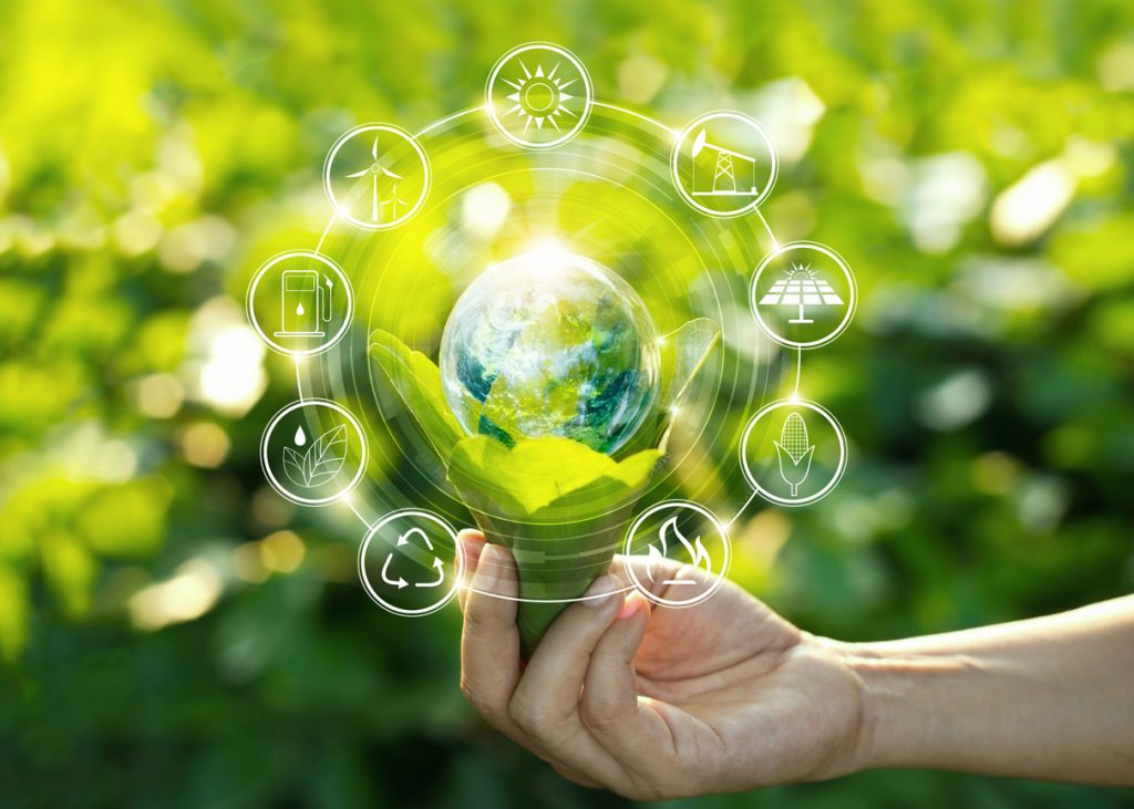 Sustainability Moss Globe Concept